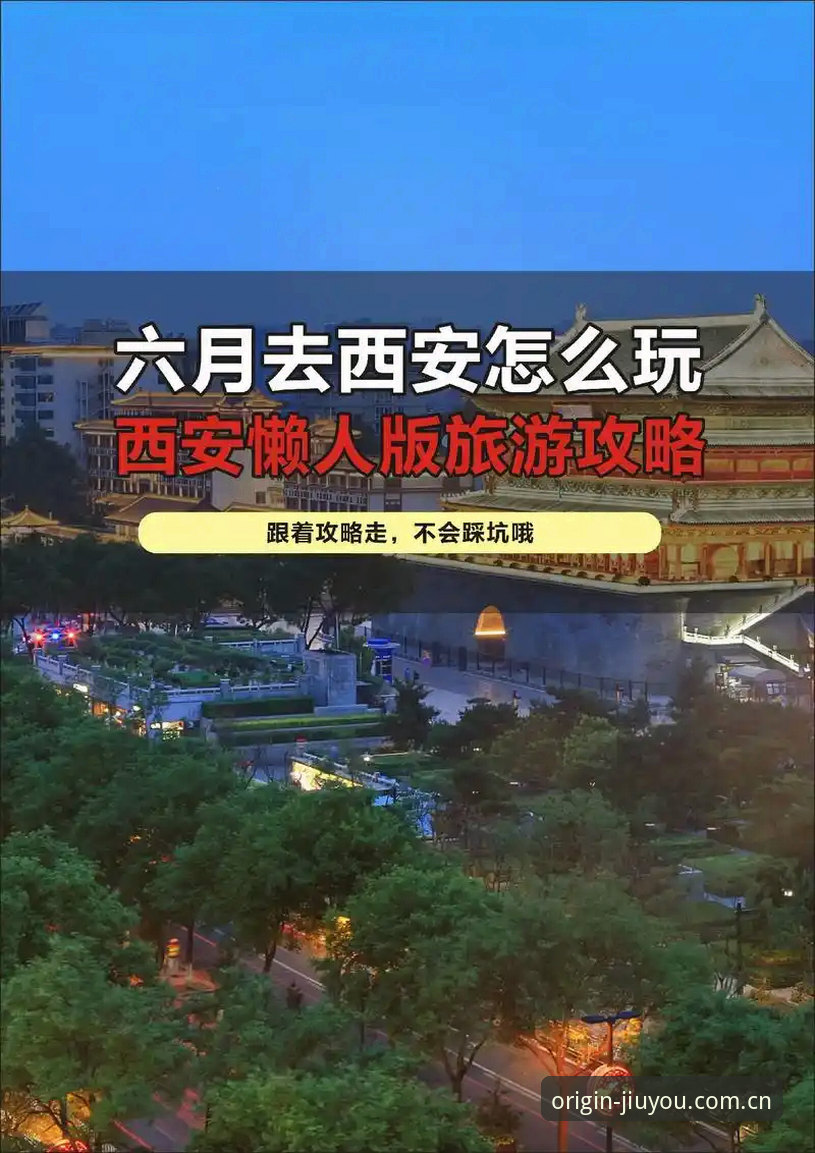 九游官网最新版完整使用指南：从安装到体育直播投注的实战操作手册